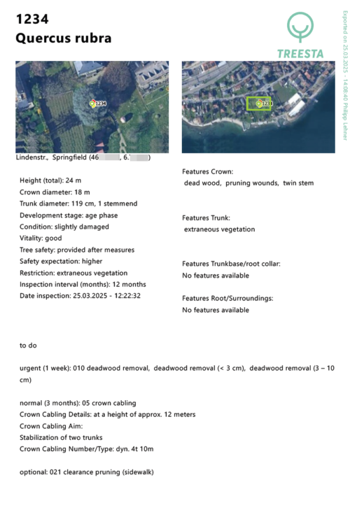 Treesta – Bild 7