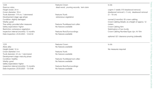 Treesta – Bild 8