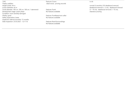 Treesta – Bild 9