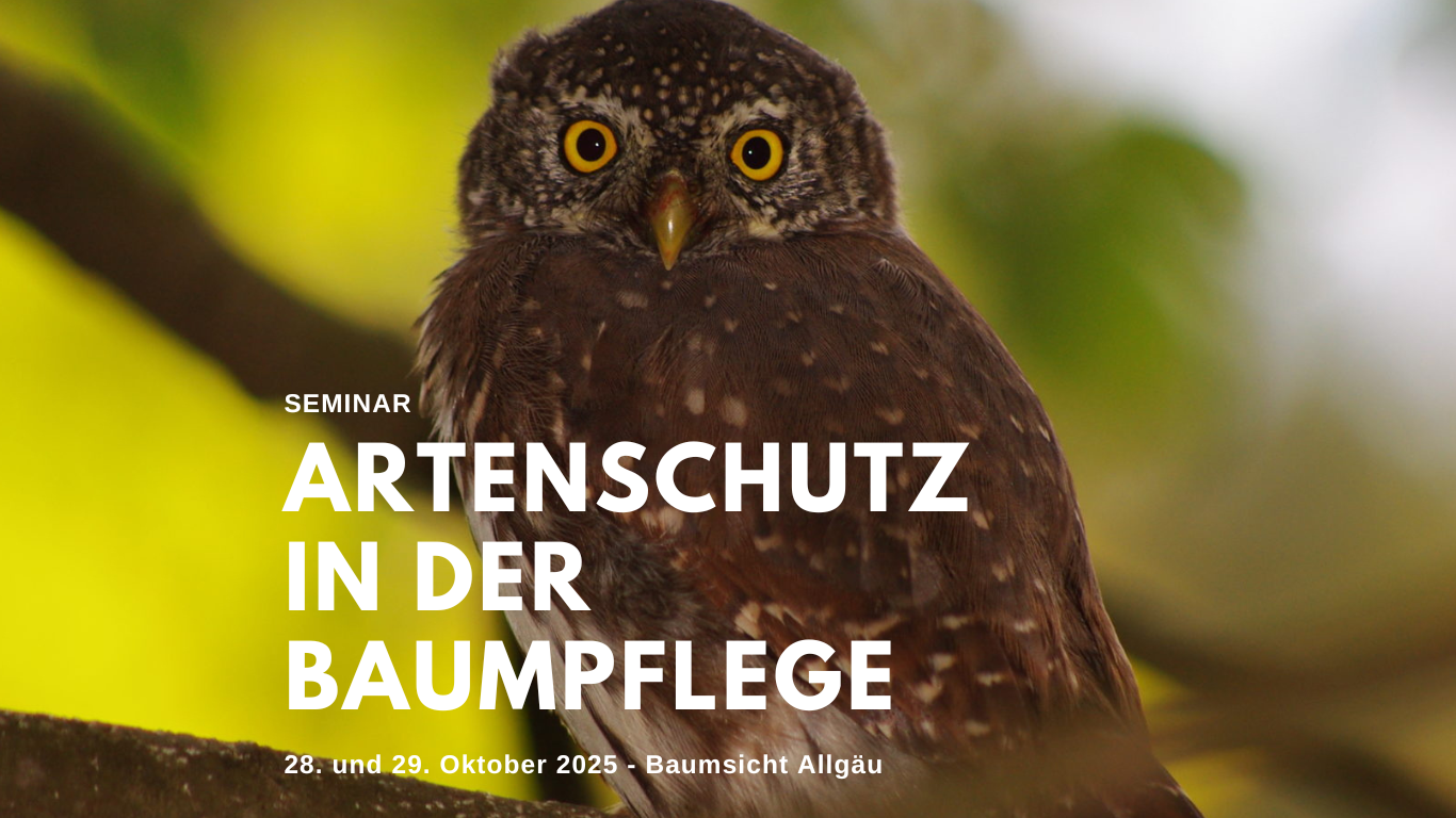 Seminar Artenschutz in der Baumpflege