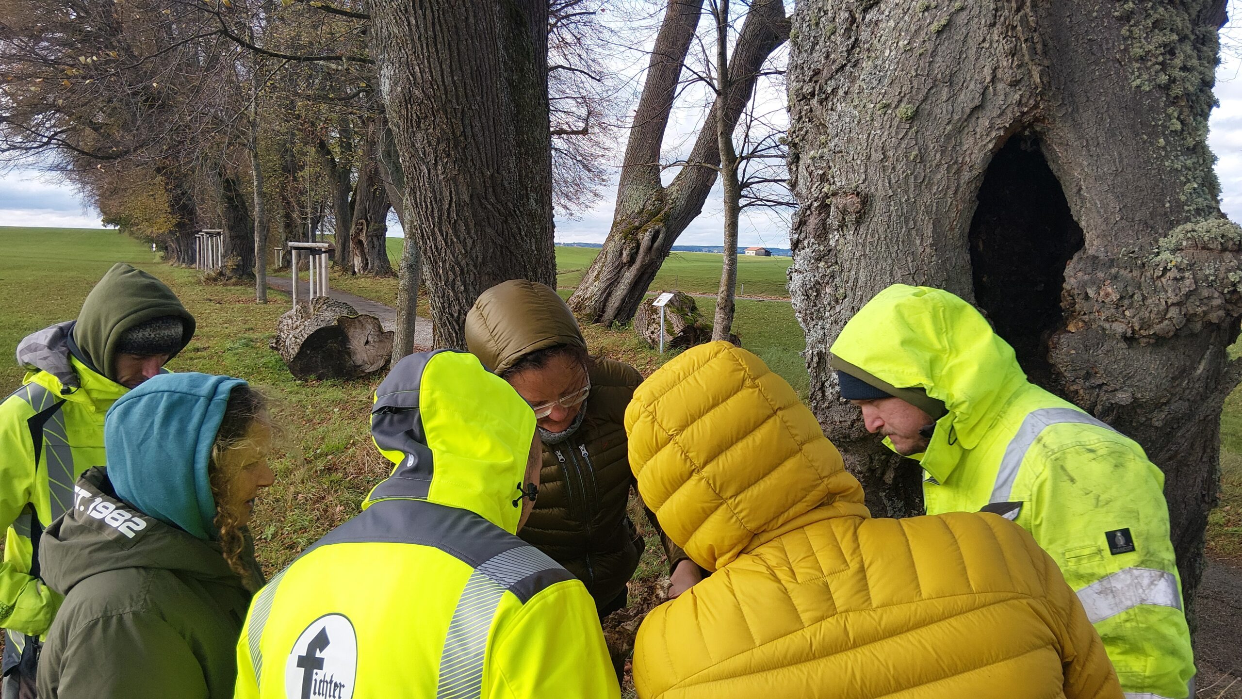 Seminar Artenschutz in der Baumpflege