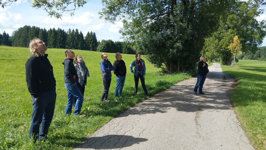 Rückblick auf das Seminar „Artenschutz in der Baumpflege“