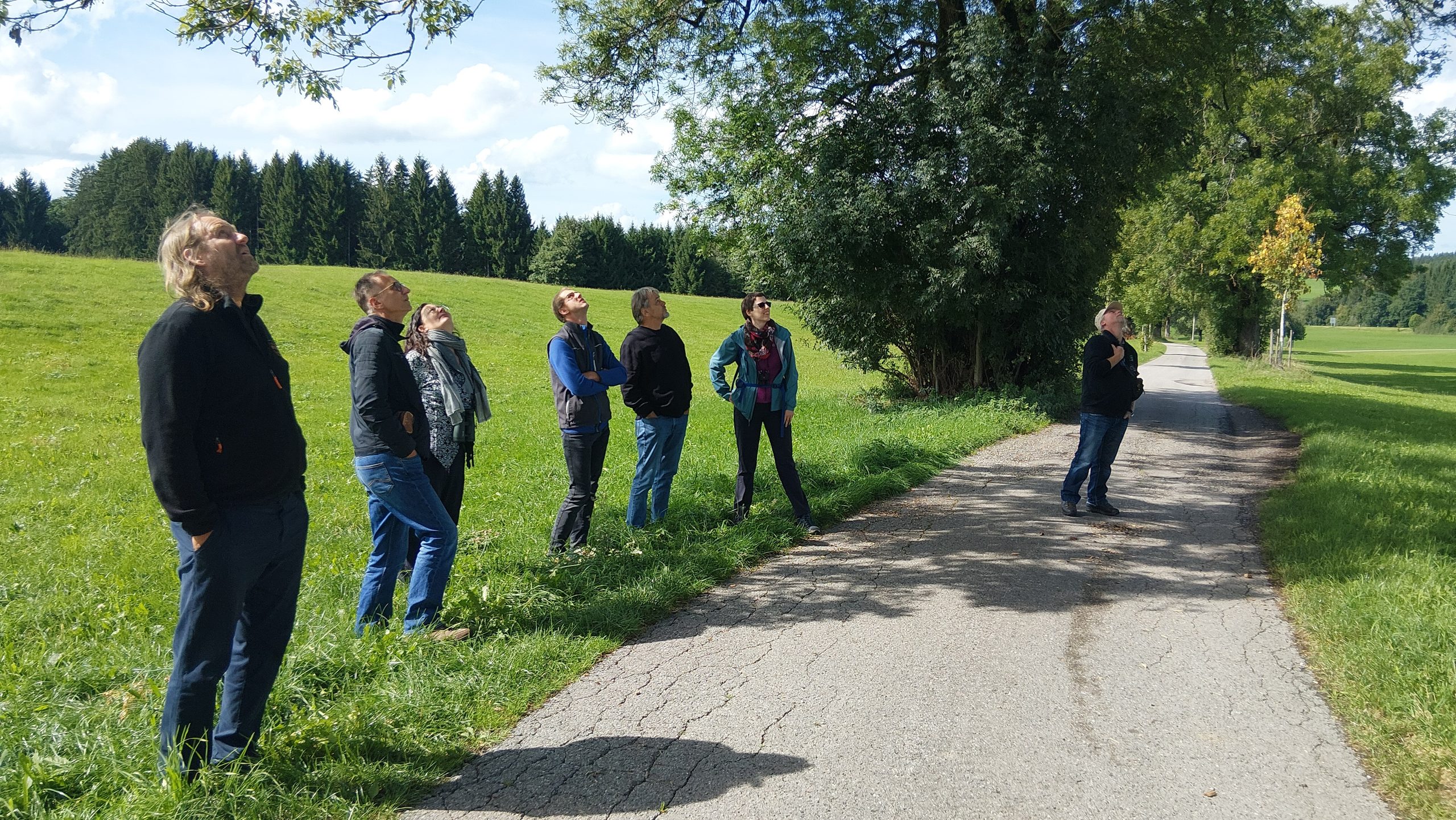 Rückblick auf das Seminar „Artenschutz in der Baumpflege“