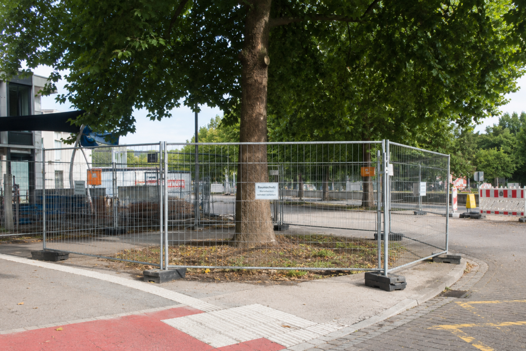 Baumschutz auf Baustellen & Umweltbaubegleitung Augsburg, München, Ingolstadt