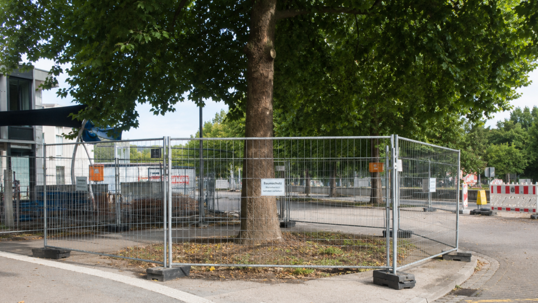 Baumschutz auf Baustellen & Umweltbaubegleitung Augsburg, München, Ingolstadt