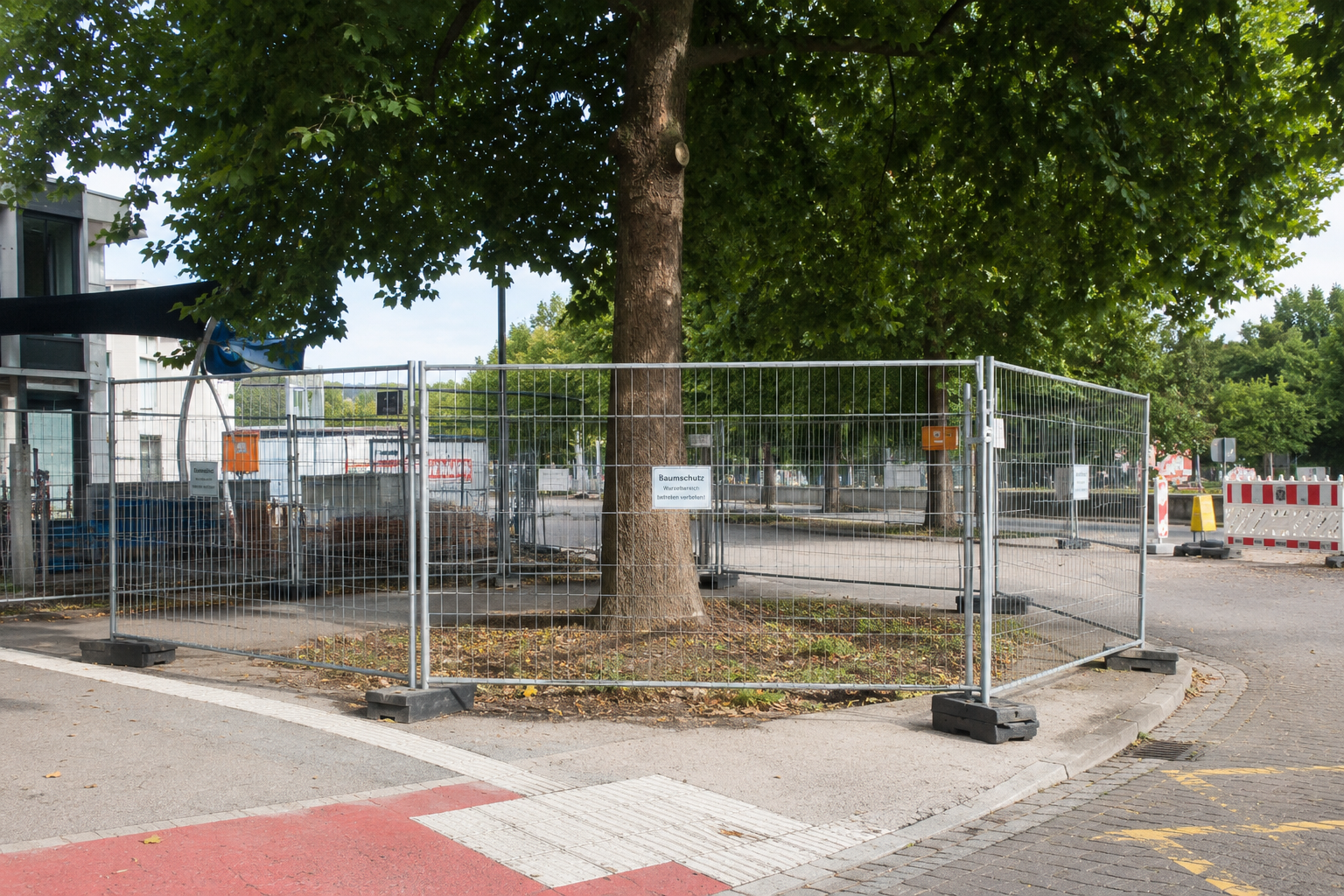 Baumschutz auf Baustellen & Umweltbaubegleitung Augsburg, München, Ingolstadt